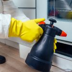 What is the right time to do a pest inspection