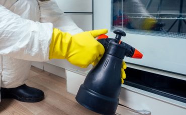 What is the right time to do a pest inspection