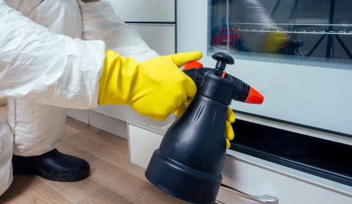 What is the right time to do a pest inspection