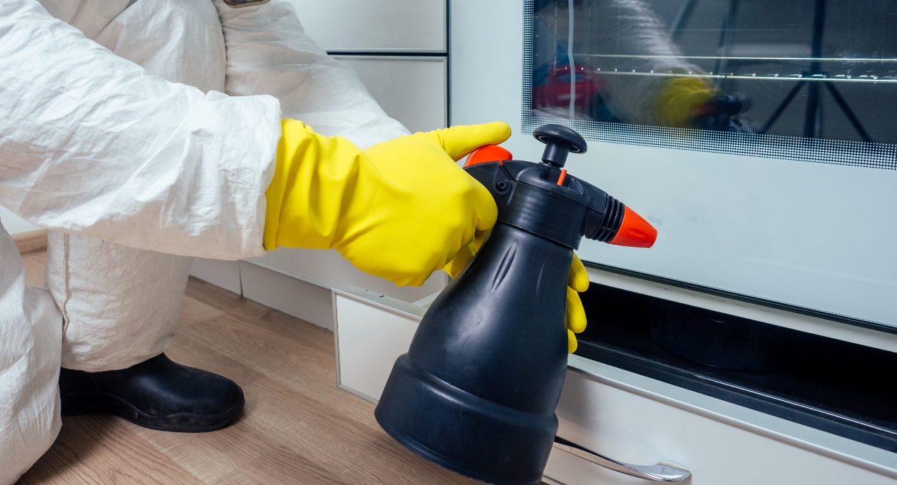 What is the right time to do a pest inspection